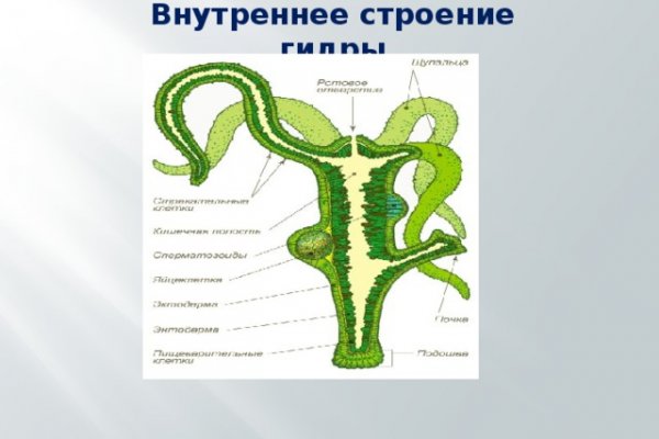 Блэк спрут официальный сайт bs2web top